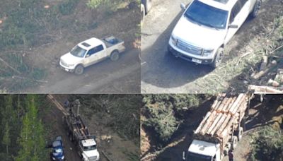 “El ISIS de Cayucupil”: las escuchas que develan el violento robo de madera en Arauco - La Tercera