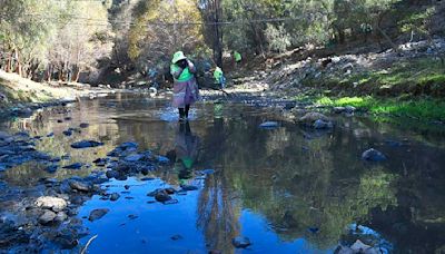 Calidad del agua del río Rocha es “pésima” y vuelven malos olores por cuatro factores