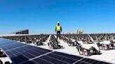 Renewable energy companies need more workers for a green transition
