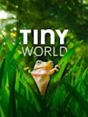 Tiny World