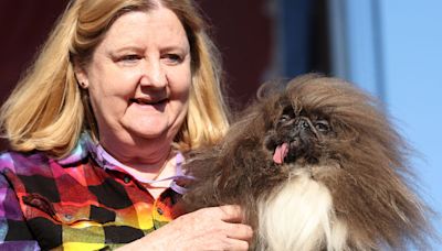 Meet the 2024 Winner of the 'World's Ugliest Dog' Contest