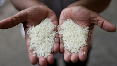 States to buy rice from FCI outside e-auction window