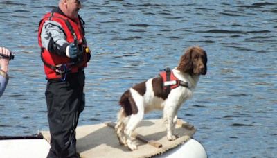 Hero dog awarded 'animal OBE' after becoming Scotland's first underwater sniffer dog