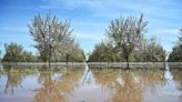 Flooding reported near historic Black town in Tulare County. Did someone breach riverbank?