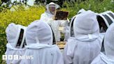 Jersey pupils learn about bee conservation