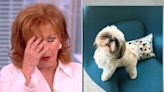 Joy Behar recalls harrowing search for missing dog who 'took a dump' in her house after police rescue