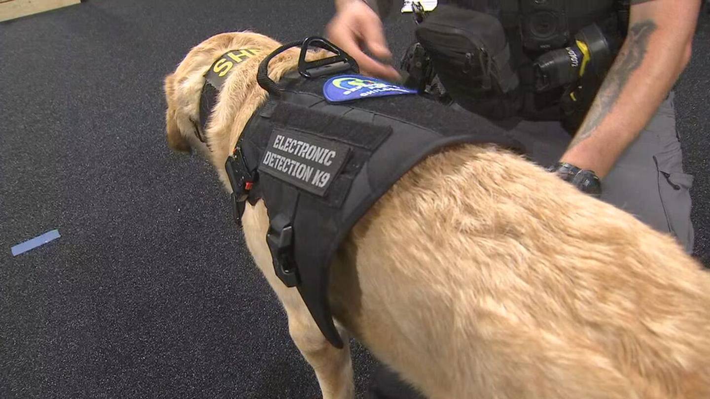 New Cobb County K-9 is trained to help find hidden electronic evidence