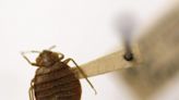 Bedbugs force Lakewood library to close for cleaning