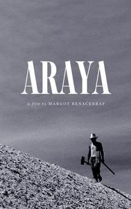 Araya (film)