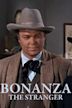 Bonanza: The Avenger