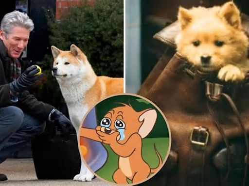 'Hachiko 2' no es una secuela de 'Por siempre a tu lado': de qué trata y cuándo se estrena