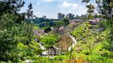 These gardens capture the beauty of the San Diego area