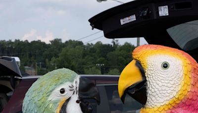 Coral Reefer Band, Parrotheads celebrate Jimmy Buffett at Riverbend concert