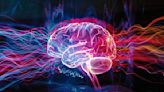 Brain Rhythms Are Key to Understanding Cognition - Neuroscience News