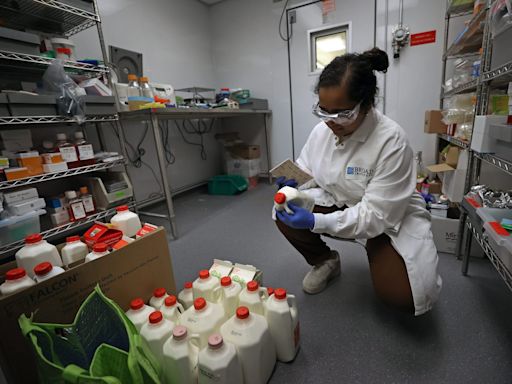 ‘A head-in-the-sand approach’: The U.S. strategic drug stockpile is inadequate for a bird flu outbreak