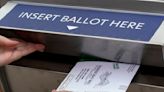 Absentee ballot numbers in Michigan show high voter turnout