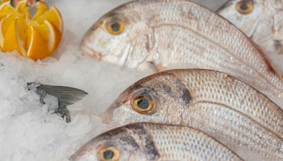 Religion : pourquoi mange-t-on du poisson le vendredi ?