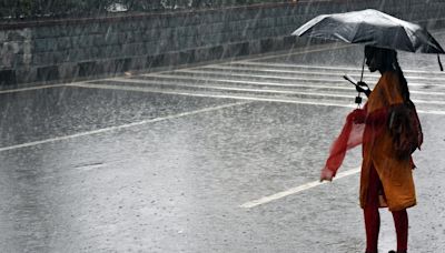 Telangana to have normal to above normal rainfall in July: IMD