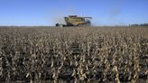 Argentina’s Soybean Crushers Strike Just as Harvest Gathers Pace