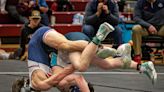 Which Murfreesboro area high school wrestlers reached the TSSAA state tournament?