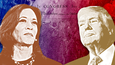 Trump stokes fears with ‘unconstitutional’ Harris talk