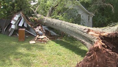 ‘Jesus, please help me’: Woman survives after tree falls on home, pinning her