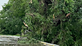 Storms cause damage in Texas, thousands of outages reported