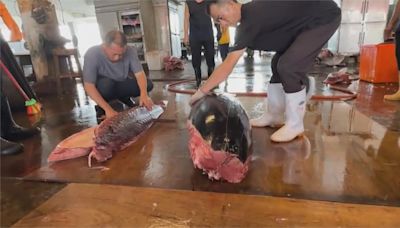 YTR東港買黑鮪魚放地上切惹議 漁會:強力譴責