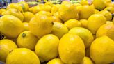 La citrícola San Miguel inauguró dos plantas industriales para el procesamiento de limón