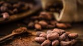 Why some health experts are making the switch from coffee to cocoa powder