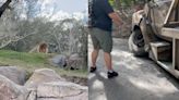 Disney guest shares 'miserable' experience evacuating Animal Kingdom's lion enclosure: 'This is ridiculous'