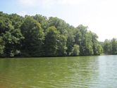 Village Creek State Park (Arkansas)