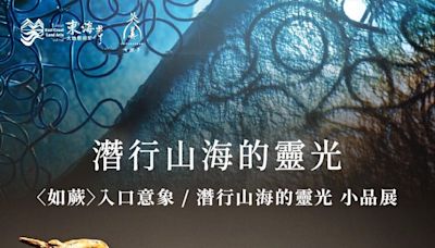 東海岸大地藝術節十周年 七月場熱鬧展開 | 蕃新聞