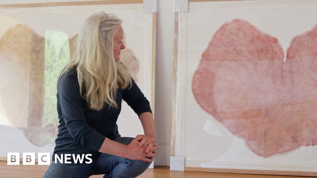 Sycamore Gap tree trunk art goes on display