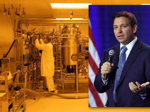 DeSantis: No more lab-grown meat in Florida