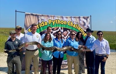 Florida Python Challenge registration begins