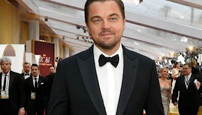 Leo DiCaprio's eco business venture sinking like the Titanic with £2.7m losses