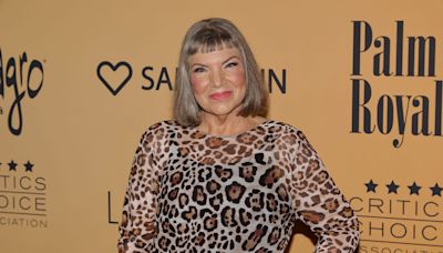 Mindy Cohn says 'The Facts of Life' reboot is 'very dead' because of 'greedy' co-star