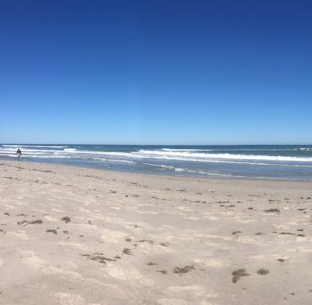 paradise beach melbourne florida