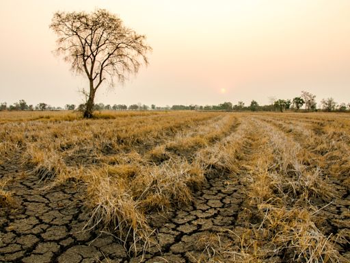 The Country at the Highest Risk of Climate Disaster