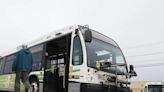 Frota de ônibus com zero emissão caiu 8% em 2024 no Canadá