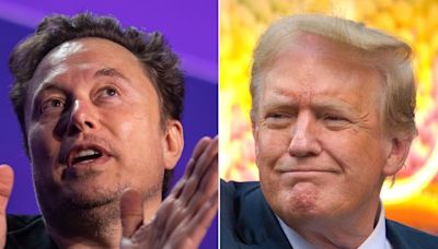 Elon Musk says he hasn't discussed taking a role in a second Trump administration