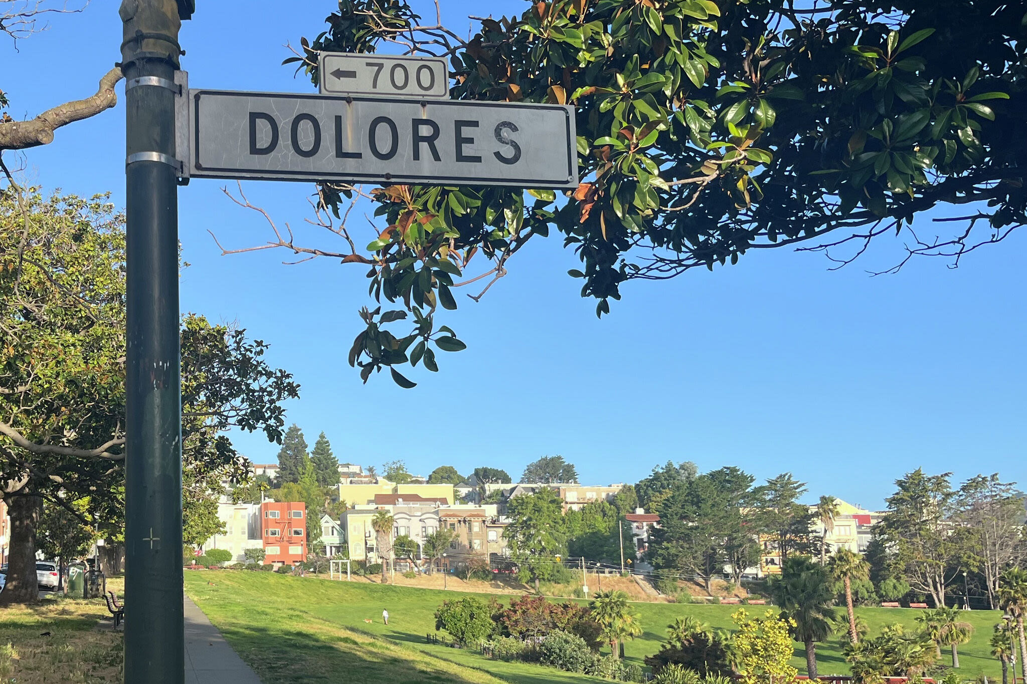 19-year-old killed at San Francisco's Dolores Park, supervisor says