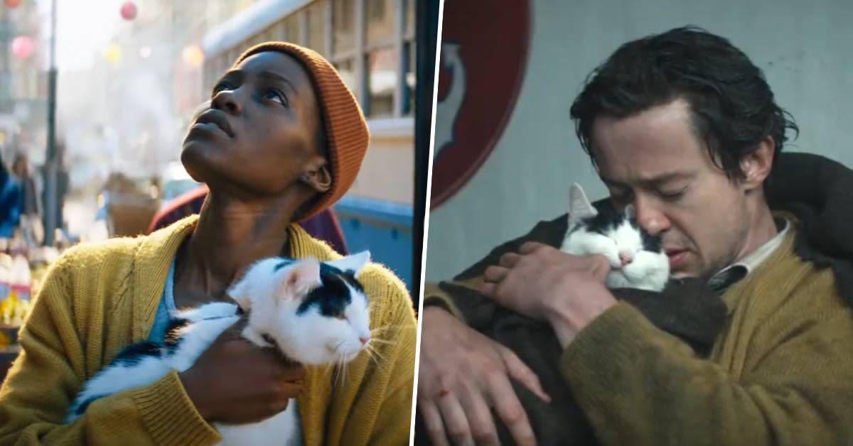 Even with Black Panther and Stranger Things stars in its cast, one of A Quiet Place: Day One's biggest characters is a cat, so "you have that element of unpredictability"