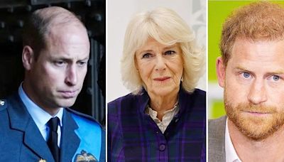 Prince William and Queen Camilla Shutting Out Prince Harry: 'He’s Out of the Fold and Exiled'