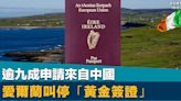 販賣國籍｜逾九成申請來自中國 愛爾蘭叫停「黃金簽證」