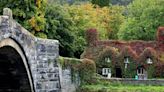 Beautiful UK tea room covered in ivy looks 'straight out of a fairy tale'