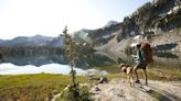 Eine gründliche Vorbereitung ist das A und O: Wandern mit Hund - das sollten Sie beachten