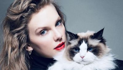 Eis Benjamin Button, o gato de Taylor Swift e estrela do seu apoio a Kamala Harris