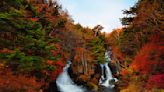 瀑布、溫泉、湖泊、絕壁⋯⋯與不同自然元素相輔相成的日本絕景紅葉聖地！